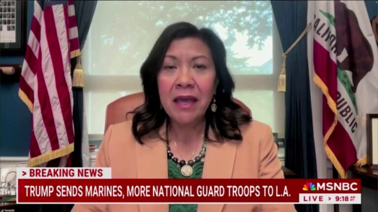 Dem lawmaker demands ICE 'retreat' so locals can be 'given the opportunity to restore order'