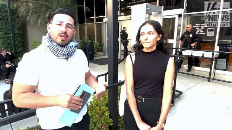 LA-area anti-ICE protestors argue against borders, love America 'conceptually'