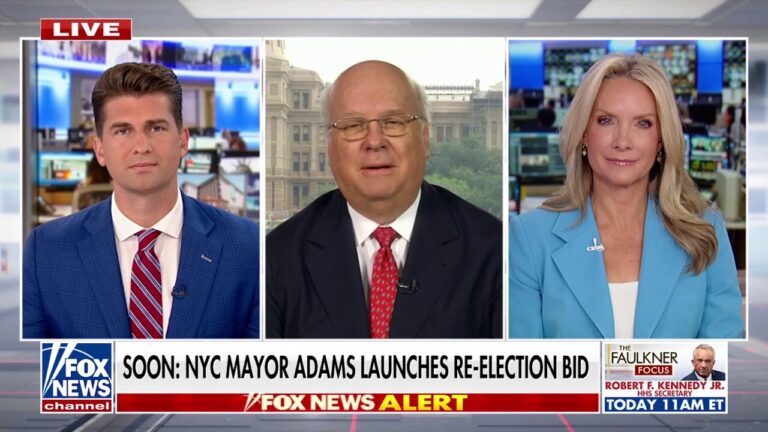 Karl Rove praises NYC low-income voters for not being 'dumb enough' to fall for Mamdani's campaign promises
