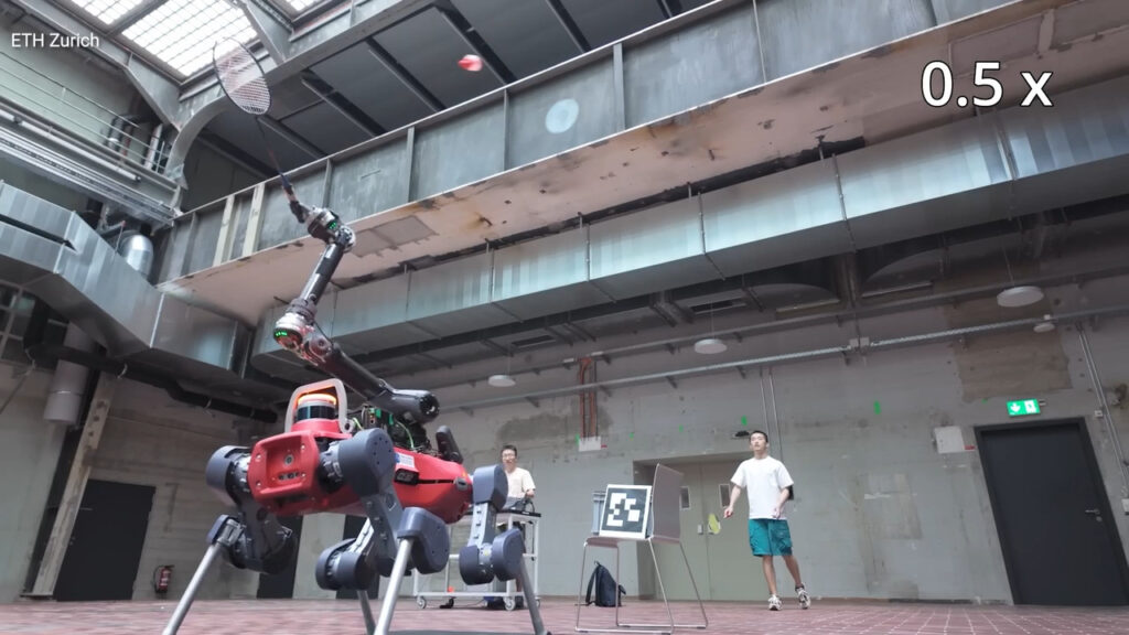 Quadruped robot plays badminton with you using AI