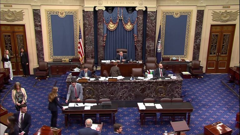 Capitol Police arrest man who disrupted debate on Trump's 'big, beautiful bill'