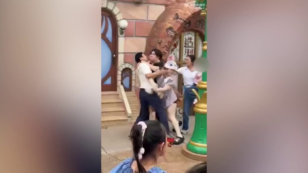 Brawl breaks out at Disneyland in China