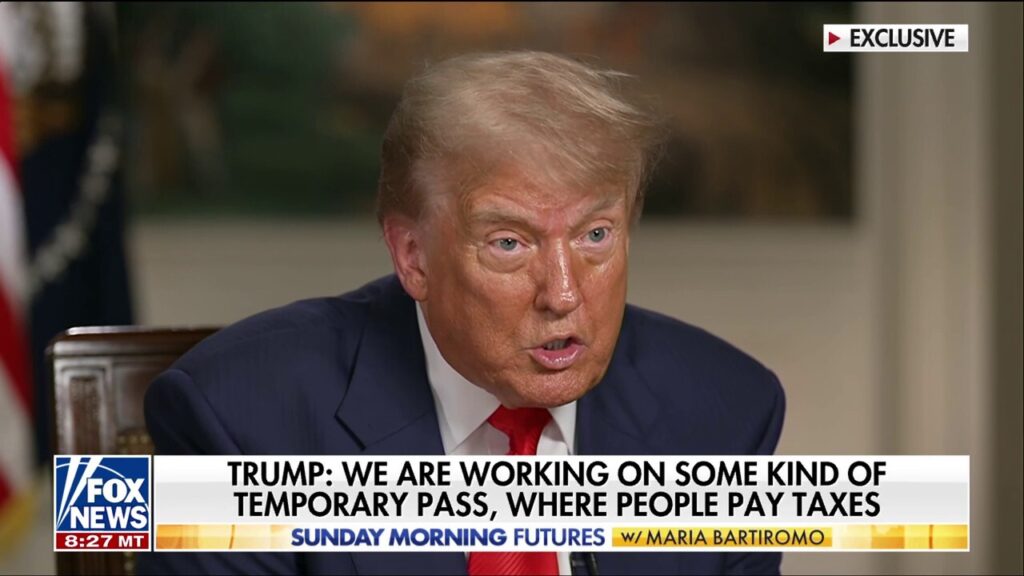 Trump announces plans for 'temporary immigration pass'
