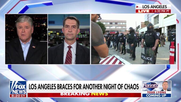 The mayor won't let the LA Police Department do its job, GOP lawmaker says