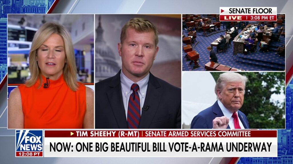 Trump’s ‘big, beautiful bill’ will address the ‘explosion in spending over Covid, says GOP sen
