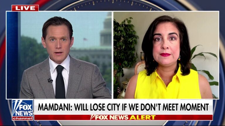 New Yorkers will realize how ‘dangerous’ Mamdani is for the city, GOP rep warns