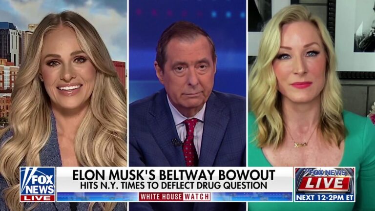 'Nothingburger': Tomi Lahren brushes off Musk drug use claims