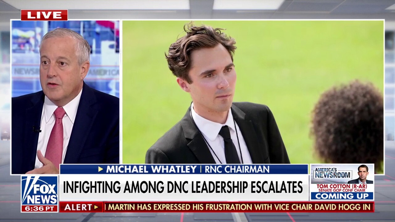 Leaked audio reveals DNC chair unleashing on vice chair: 'Quite frustrated'