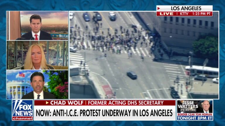 The situation in LA was ‘created by those on the left’: Chad Wolf