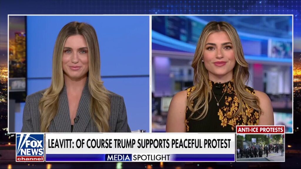 The Left wants to normalize lawlessness and disorder, says Debra Lea