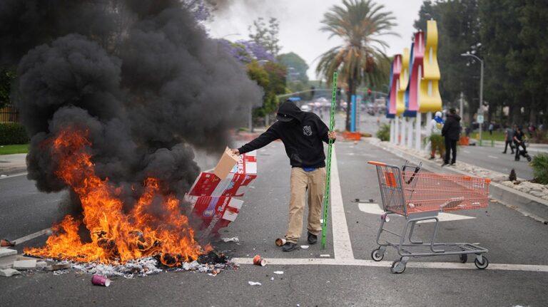 Senator launches investigation into Democratic org over potential support for LA rioters