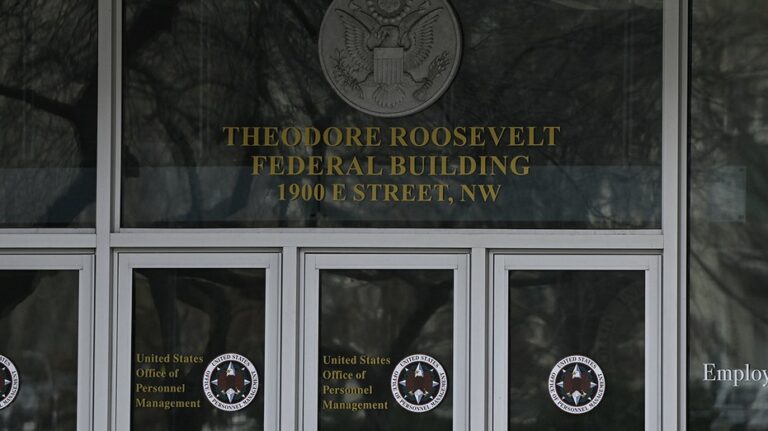 Judge restricts DOGE access to federal databases, finding 'breach of law and trust'
