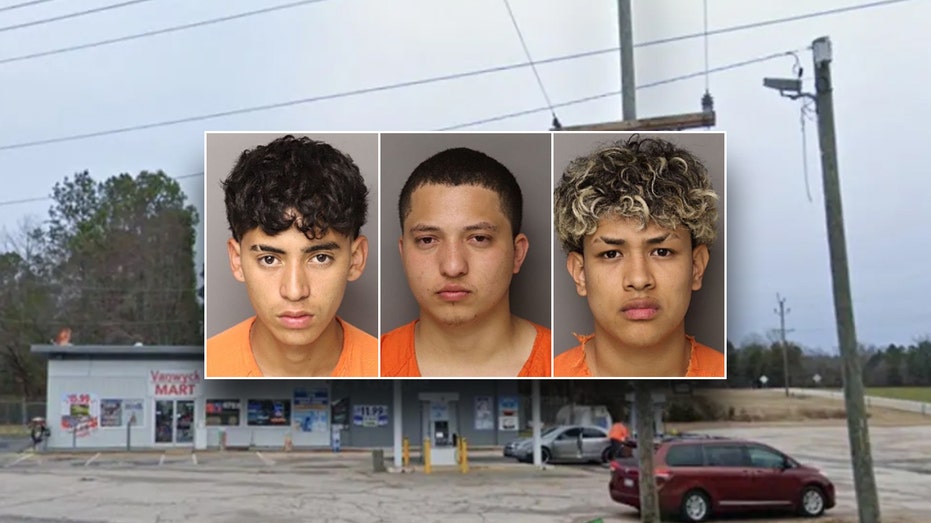 Americans at risk 'anywhere' after 6 illegal immigrants are charged in mother's murder: congressman
