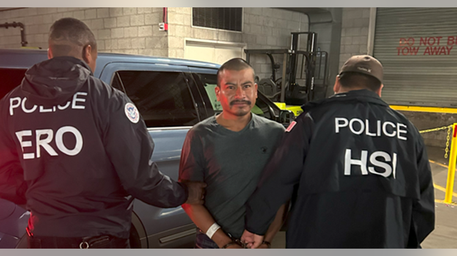 California sheriff says Newsom ‘encouraged’ LA riots as ICE arrests violent illegal aliens