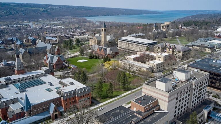 Cornell University hit with federal civil rights complaint over alleged discriminatory DEI practices