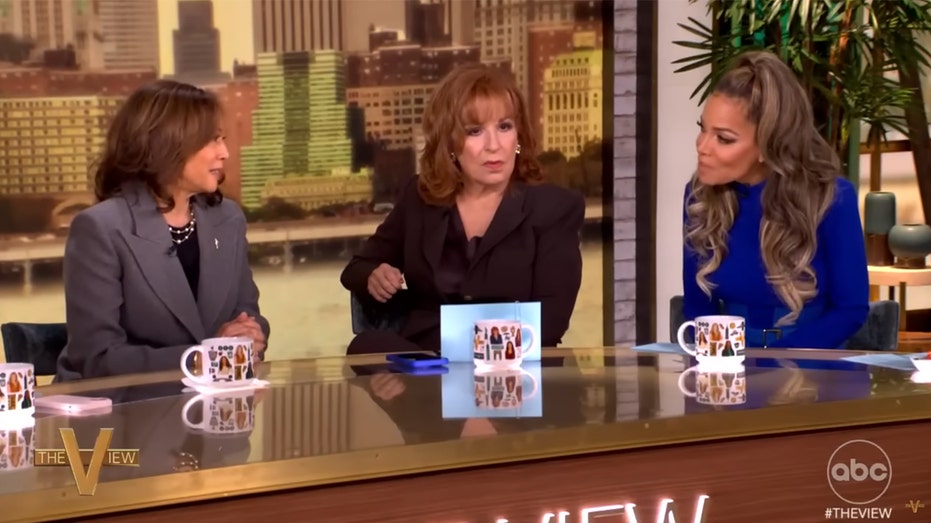 Kamala Harris aide urged 'The View' hosts to ask again after VP flubbed question on differences with Biden