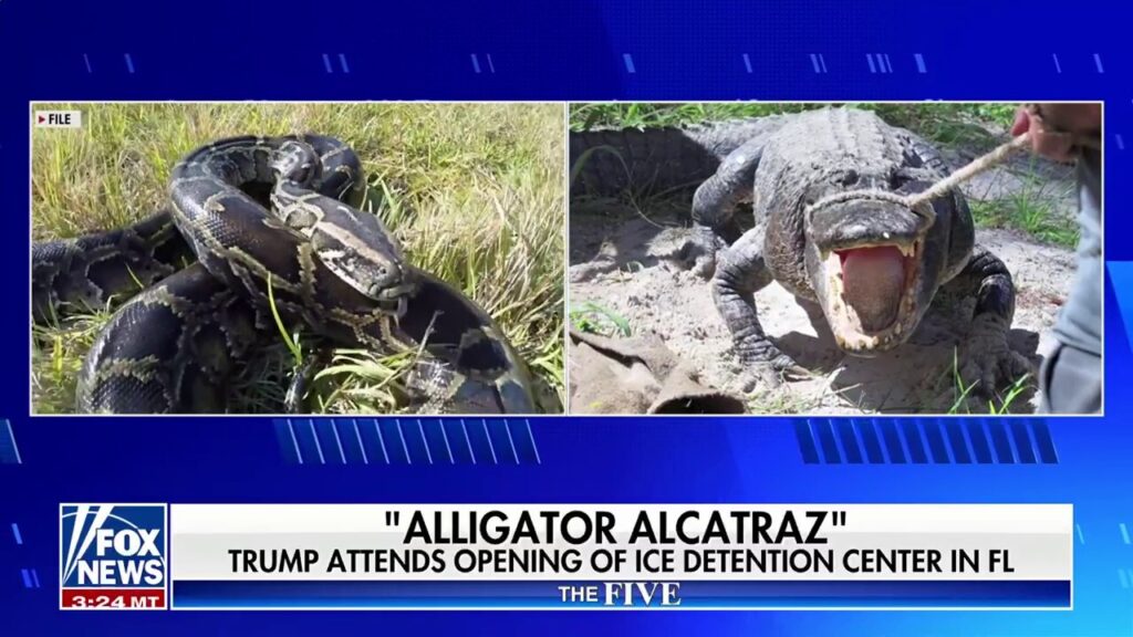 Trump's been 'outstanding' on the border, says Harold Ford Jr.