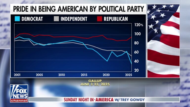 Patriotism should transcend administrations, says Democratic strategist