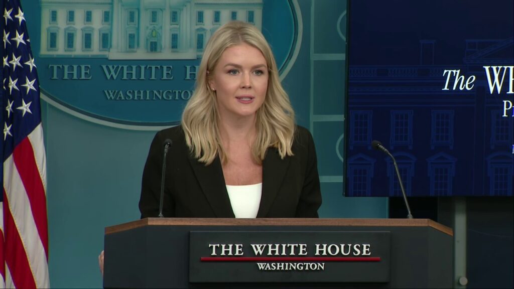 White House urges Dems to 'tone down rhetoric' toward ICE following Texas shooting
