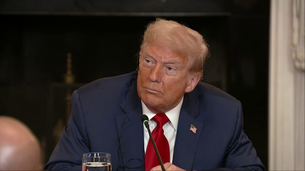 Trump slams Dem lawmakers for new bill that would unmask federal immigration officials