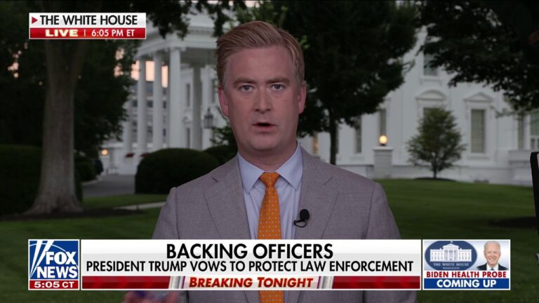 Trump ‘not sympathetic’ to Dems' claims that ICE agents are operating too ‘heavy-handedly’