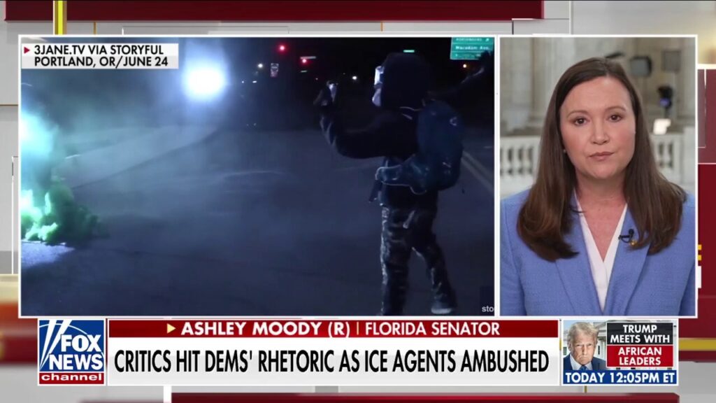 GOP senator calls out Democrats’ rhetoric against ICE agents