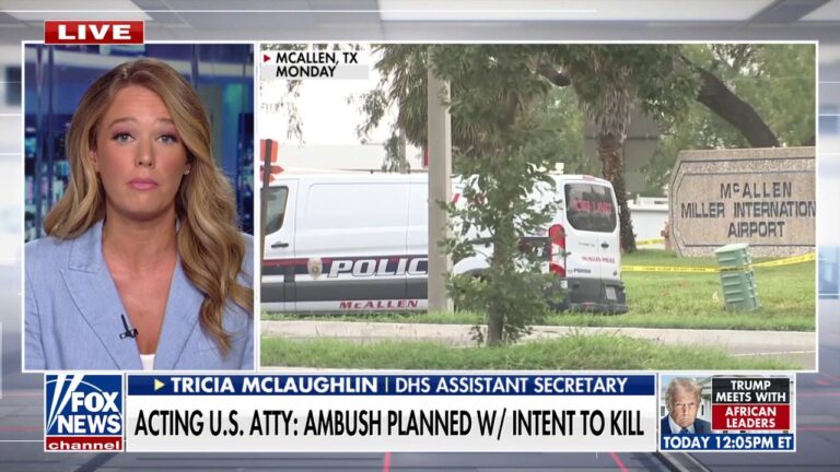 DHS accuses left-wing politicians, media of normalizing violence against ICE agents