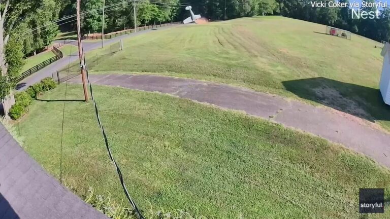 Small aircraft flips after crash in South Carolina yard