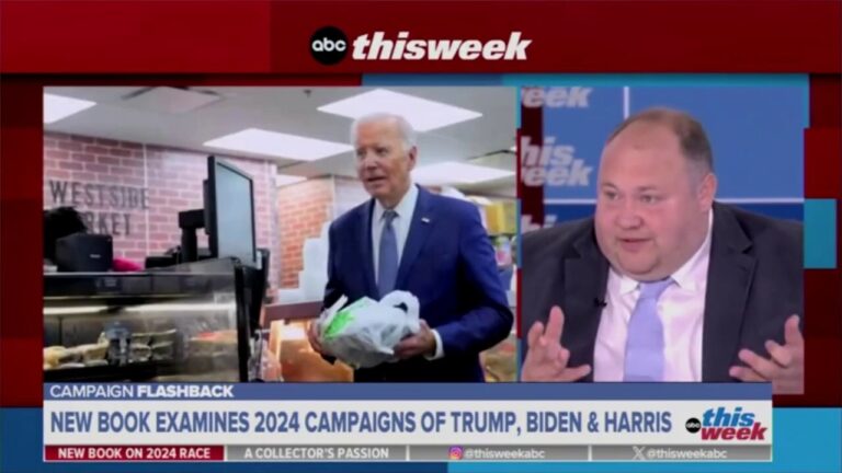 Hunter Biden helped Joe make campaign decisions, joined calls: WSJ reporter