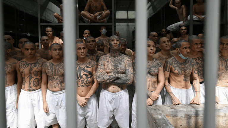 ICE swoops in on MS-13 kingpin hiding in America's heartland after investigation