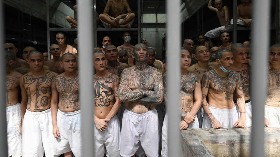 ICE swoops in on MS-13 kingpin hiding in America's heartland after investigation