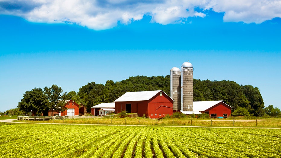 BROOKE ROLLINS: Farm security is national security