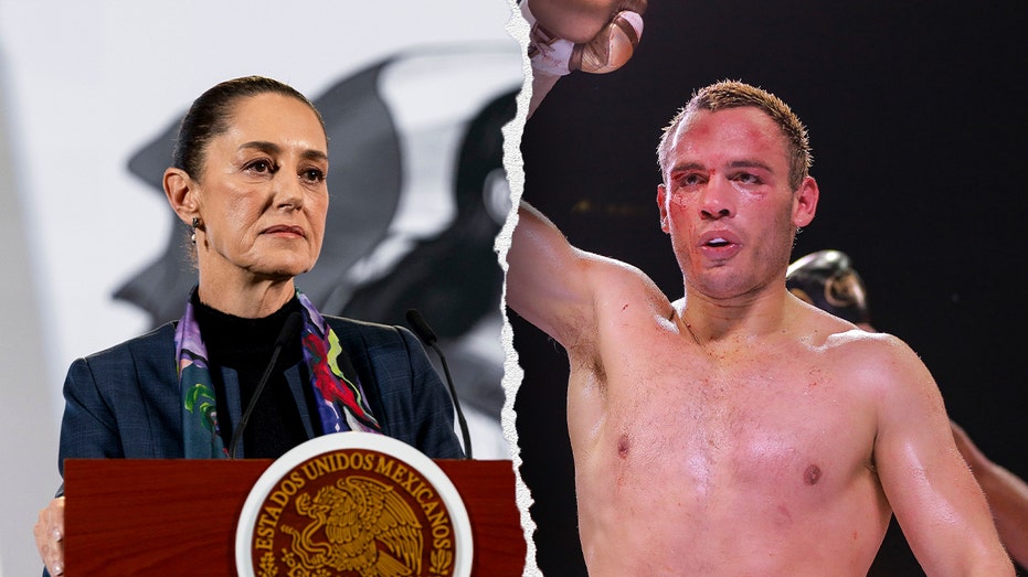 Mexico President expects boxer Julio César Chávez Jr. to be deported, hopes he serves sentence in home country