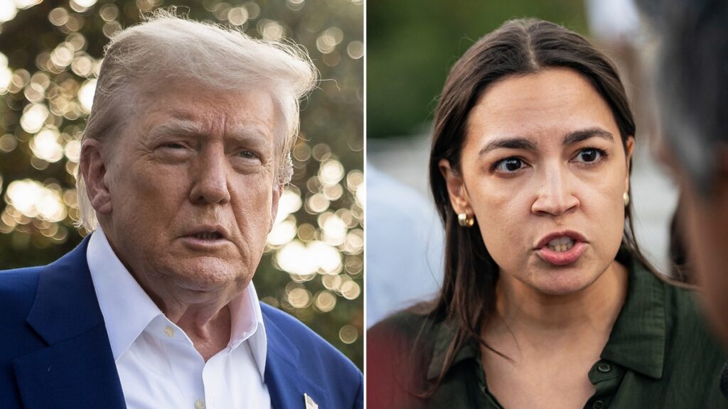 Border agent ambush shows Dems need to 'tone down rhetoric,' White House says, pushing AOC to meet with ICE