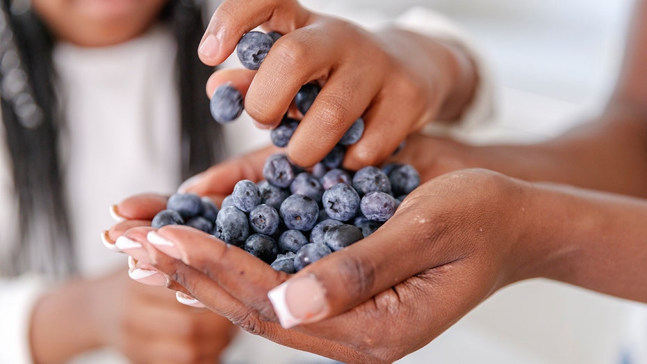 Eating blueberries earlier in life could ease allergies, strengthen immunity, new study finds