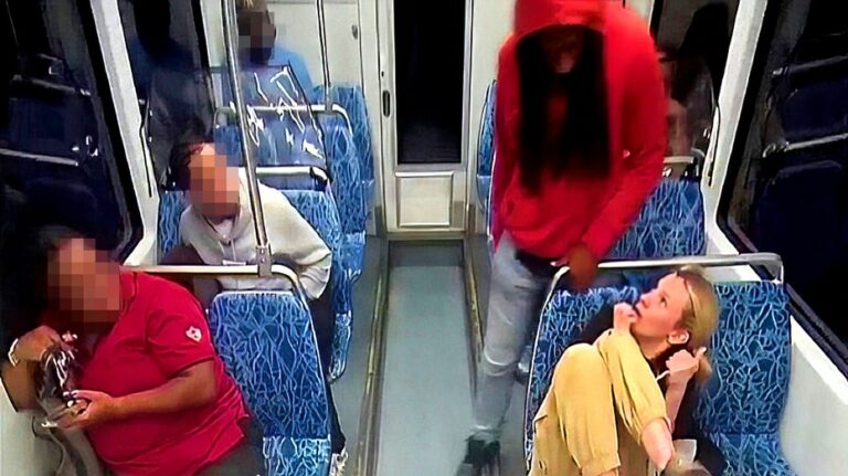 Random blue city stabbing death fuels new bail bill as ‘activists’ ripped for lack of crime crackdown: expert