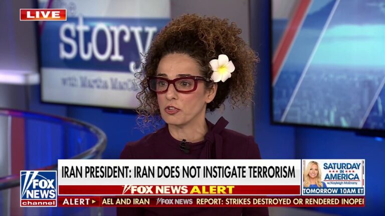 Iranians are 'sacrificing their lives' to protect democracy, says Iranian-American journalist