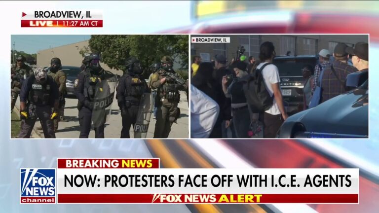 Protestors face off with Illinois ICE agents