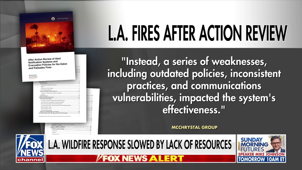 Los Angeles wildfire response delayed by lack of resources: report
