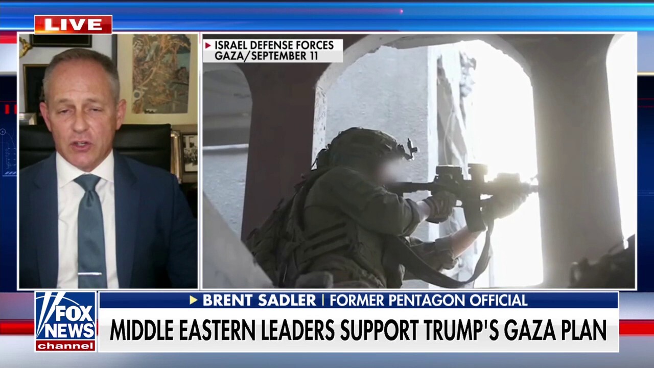 Ex-Pentagon official on Israel: Fighting a war with an adversary is not ‘genocide’