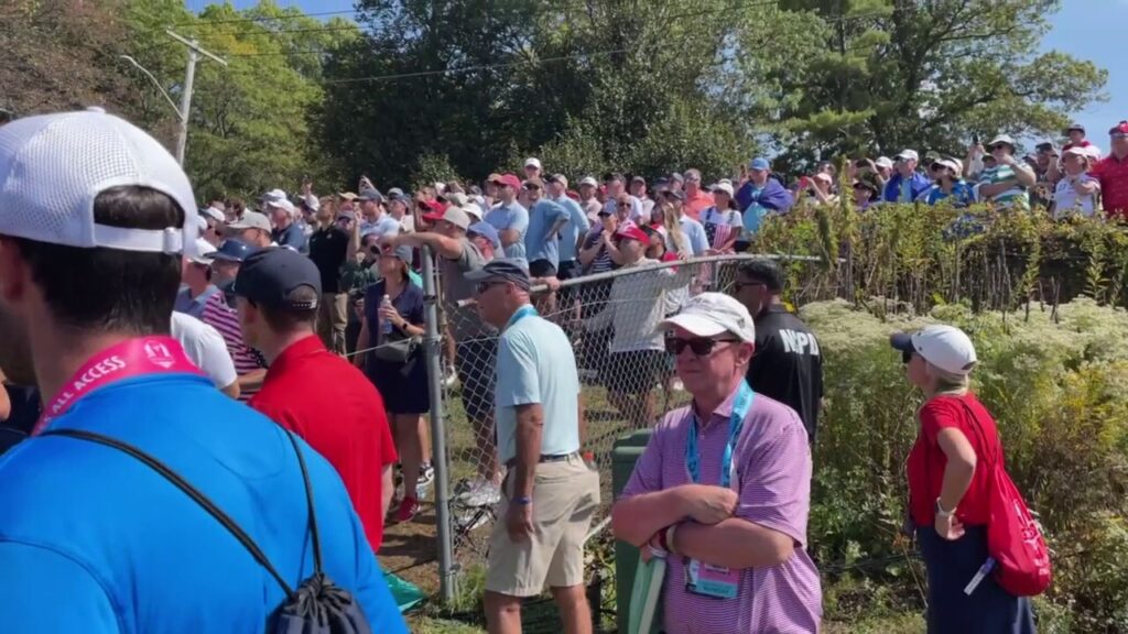 Police confront fan after yelling expletives at Rory McIlroy