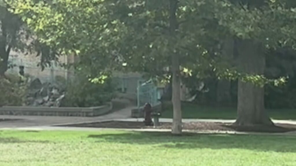 Bomb squad detonates 'suspicious device' at Utah State University ahead of TPUSA event