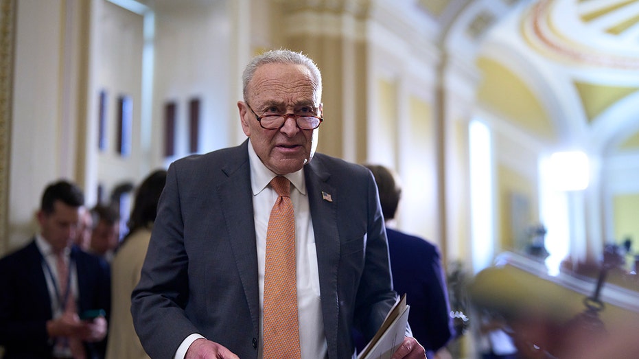 Chuck Schumer denies he's caving to left-wing pressure to force a shutdown