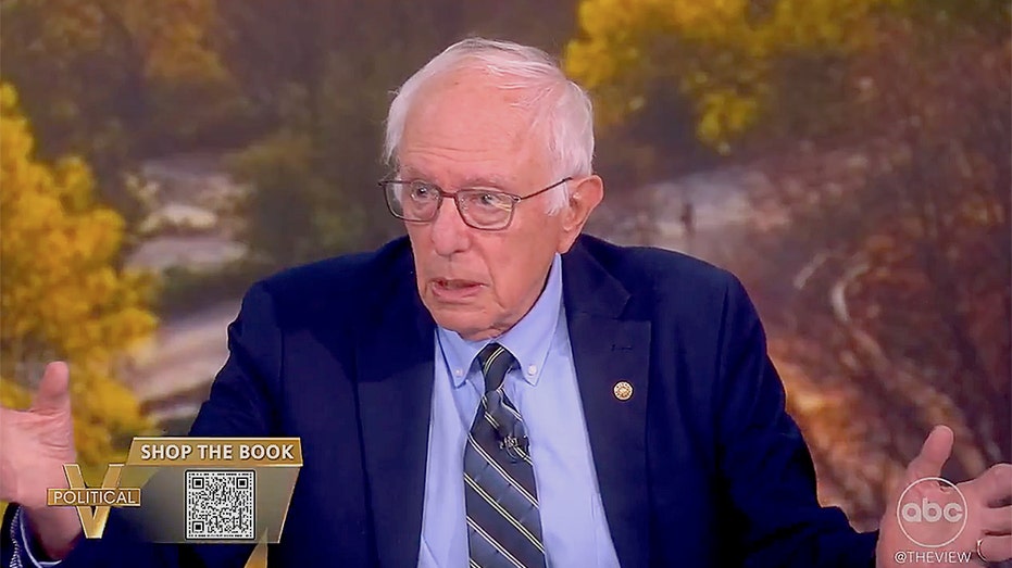 Bernie Sanders says Democrats need to make 'fundamental decision' about what they stand for