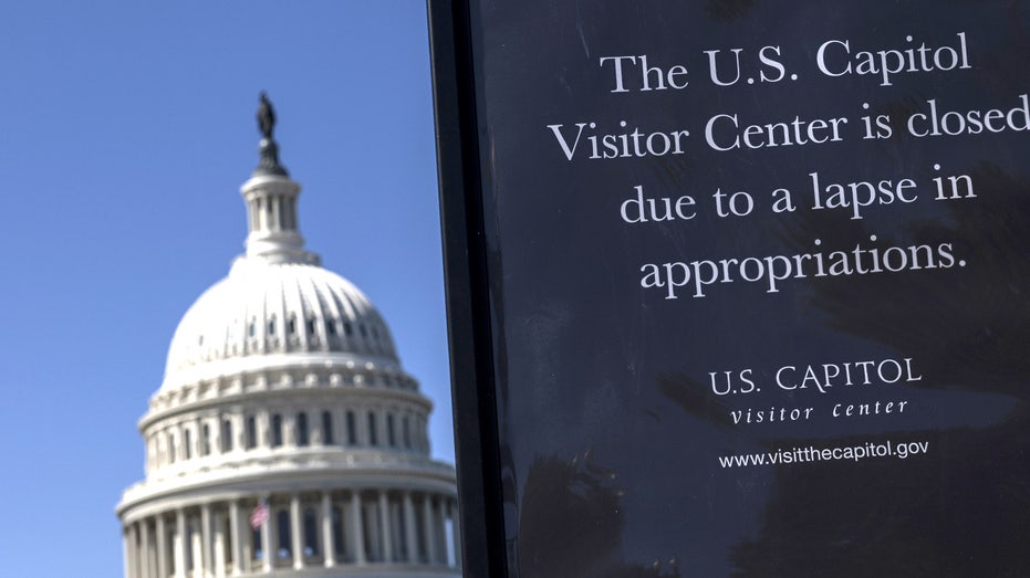 'Schumer shutdown' already cost taxpayers $1.2B in pay to employees not working
