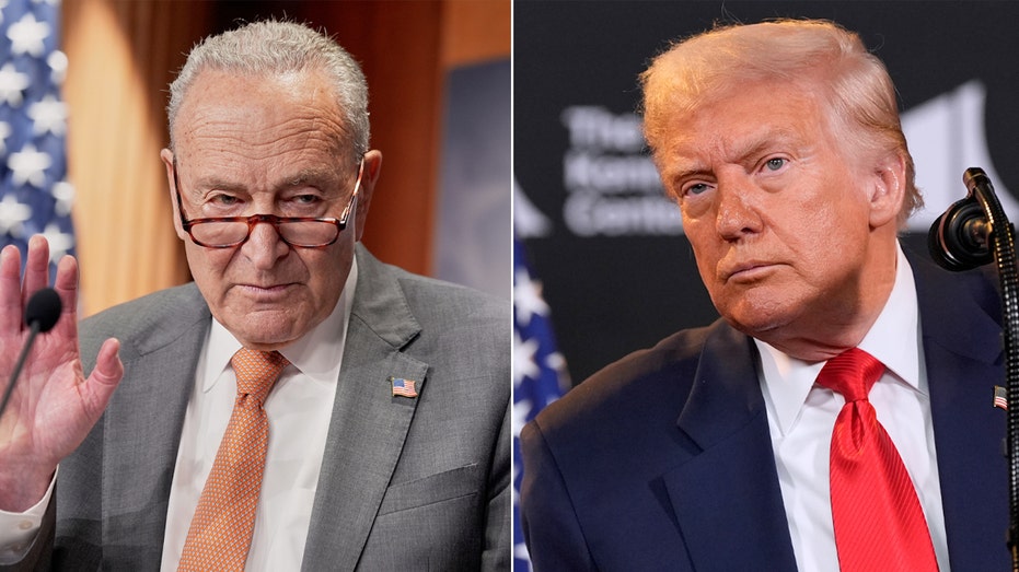 Blame Game: GOP spotlights 'Schumer shutdown' while Dems lash out at Republicans ahead of 2026 midterms