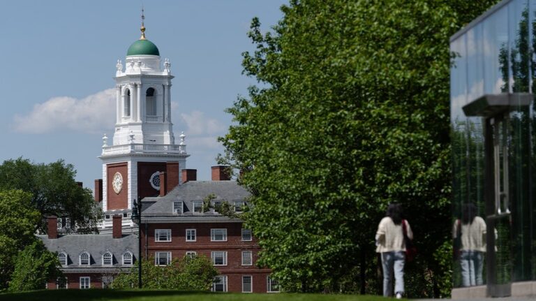 Harvard faculty admit students skipping class, not engaging with opposing views, and still getting good grades