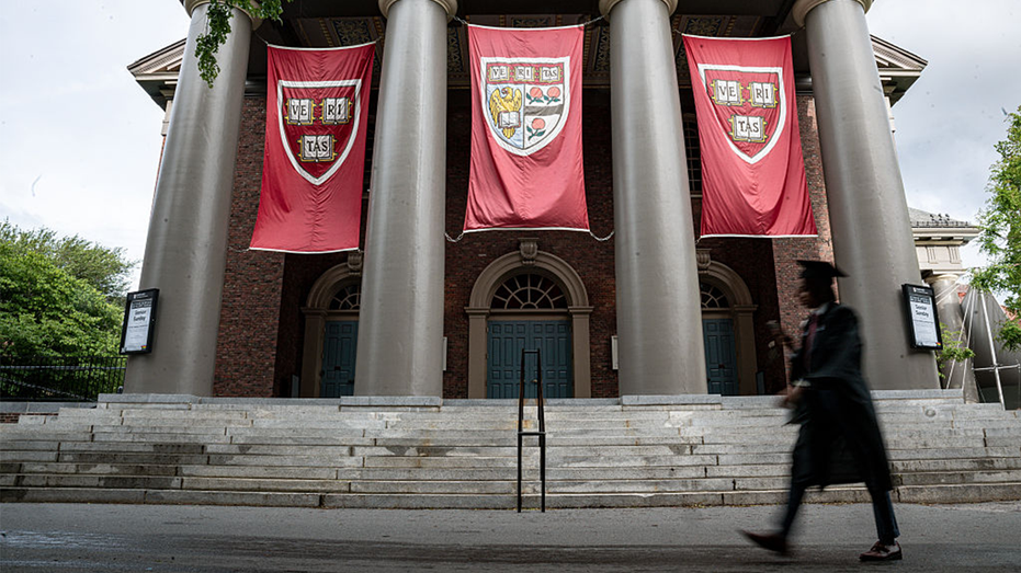 Harvard dean claimed Whiteness is ‘self-destructive,’ told police to resign for being ‘evil’