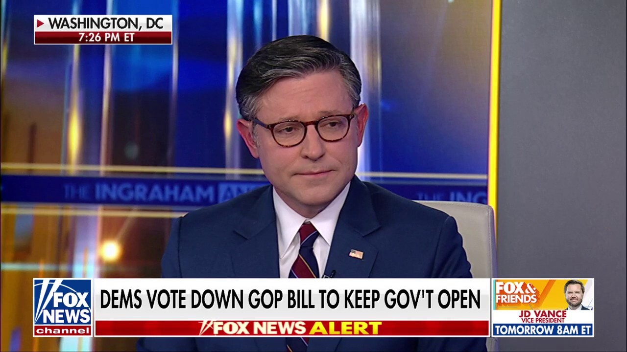 Speaker Johnson says Schumer is stopping a 'simple, clean resolution' for 'raw, political purposes'