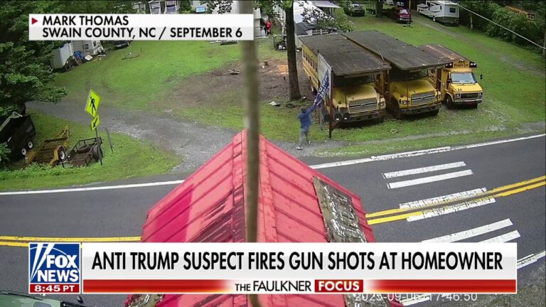 Georgia man faces multiple felonies in alleged incident of left-wing political violence
